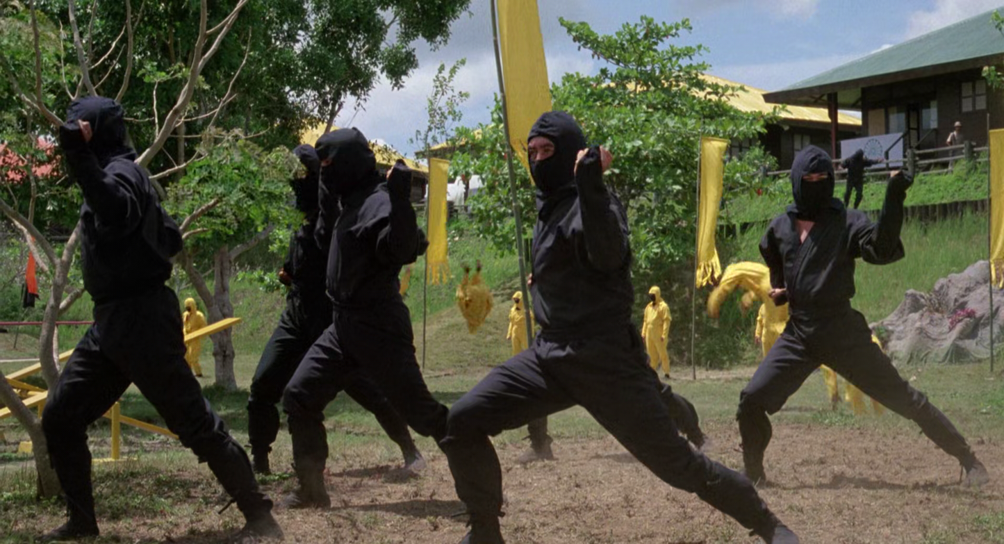 American Ninja Colored Ninjas - Cuffed Beanie - Inspired by the classic 1985 movie